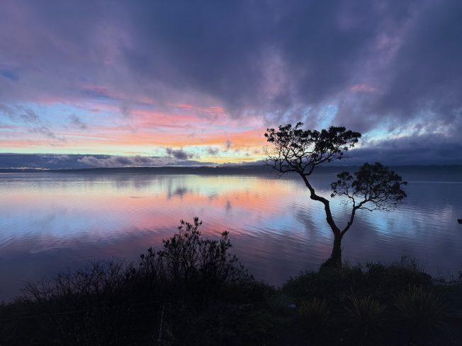 West Indies Cricket Revival: How Player Availability Fuels T20 World Cup Hopes